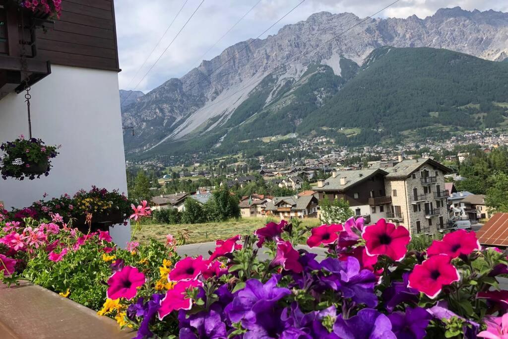 Appartamento A Due Passi Da Bormio Valdisotto Exteriör bild