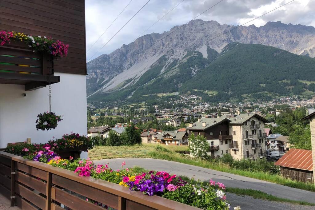 Appartamento A Due Passi Da Bormio Valdisotto Exteriör bild